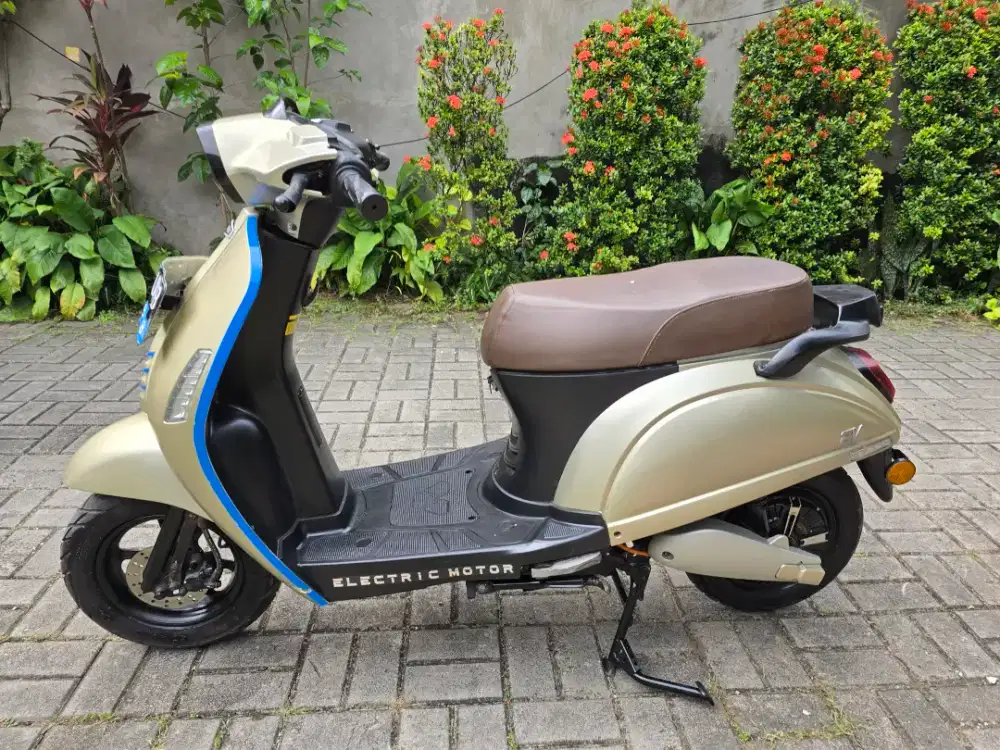 Motor listrik Viar EV 1 MULUS