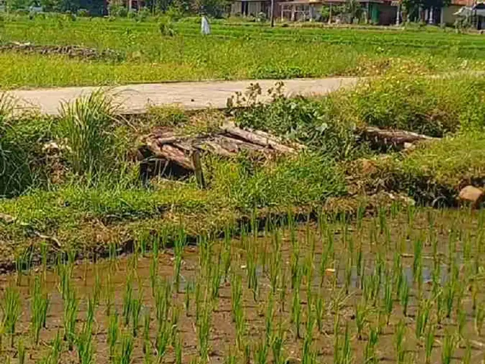 DI JUAL TANAH MURAH BUTUH UANG VIEW GUNUNG