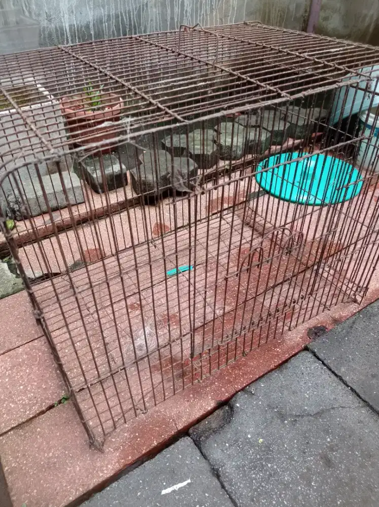 Kandang besi  kucing atau burung