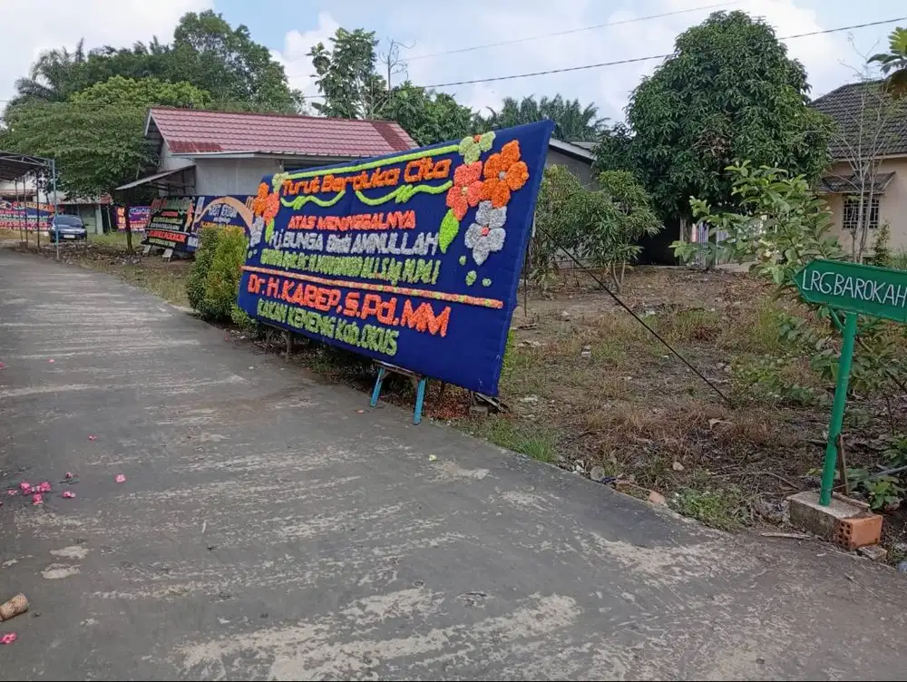 Dijual tanah 300m area Talang Jambe