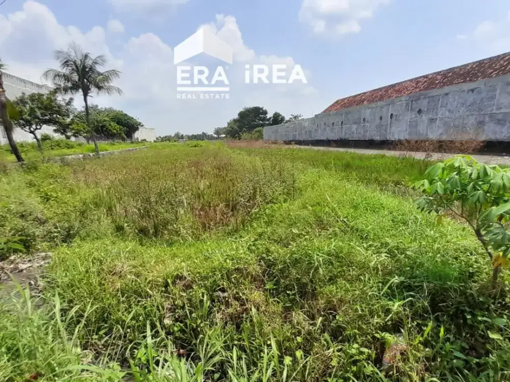 Tanah Dijual di Klaten Dekat Universitas Muhammadiyah Klaten dan Pasar Wedi