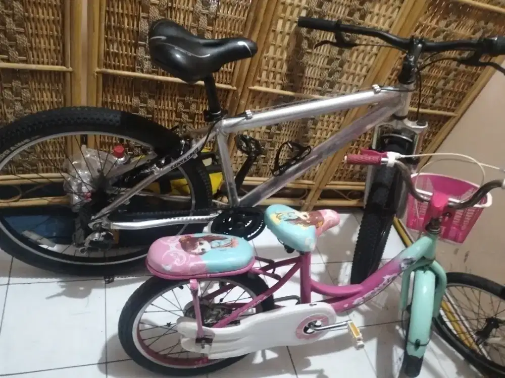 sepeda MTB dan sepwda anak