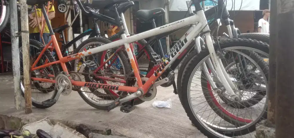 Sepeda gandeng Polygon