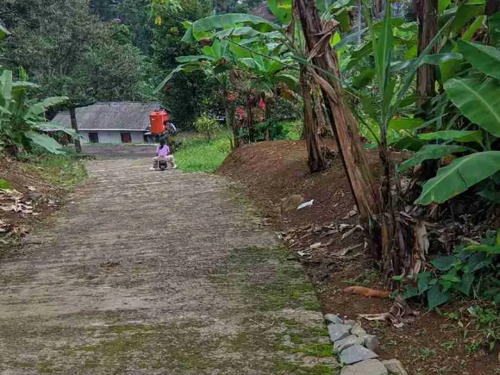 LAHAN TANAH KOSONG BONUS RUMAH SIAP HUNI