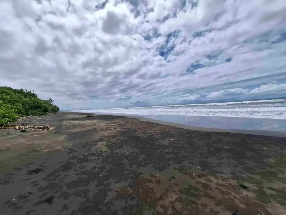 tanah los pantai di pekutatan medewi