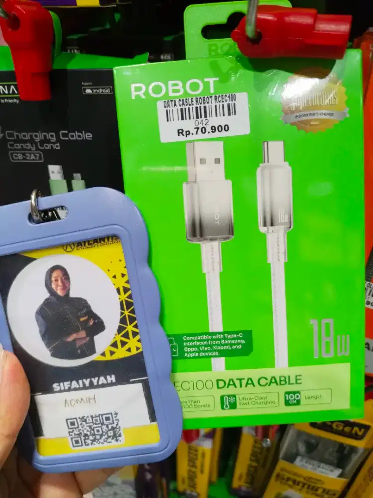 DATA CABLE ROBOT RCEC100 | ATLANTIS DAHSYAT
