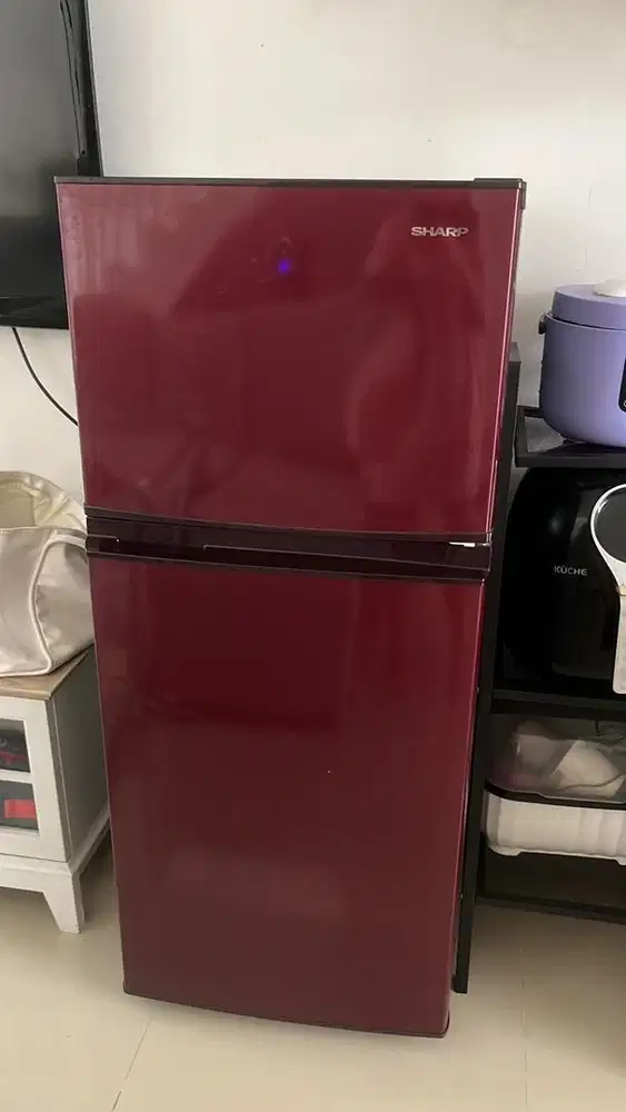 Kulkas sharp 2 pintu