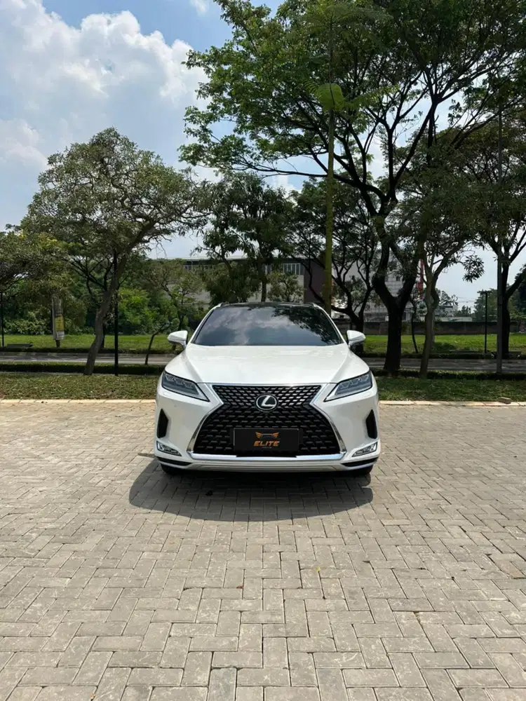 Lexus RX 300 Luxury 2021