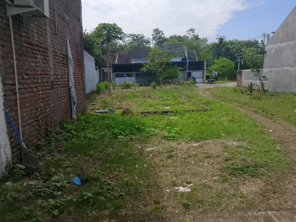 Siap bangun rumah free desain