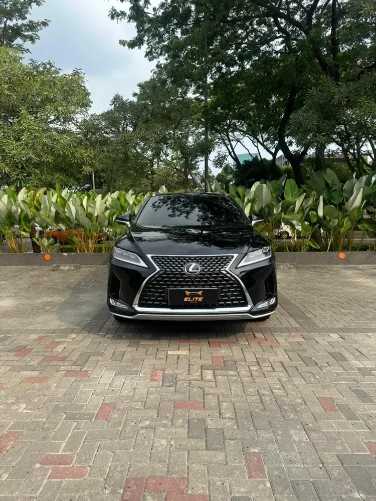 Lexus RX 300 Luxury 2020