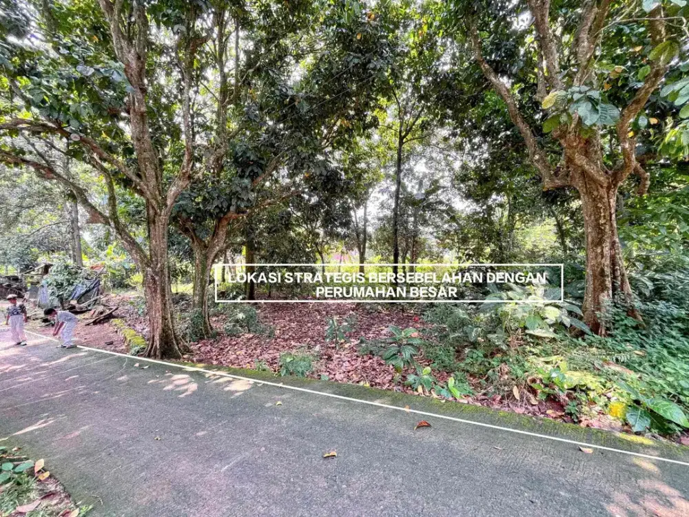 TANAH MURAH DEKAT JALAN RAYA PARUNG SERPONG DI ALASTUA GUNUNG SINDUR