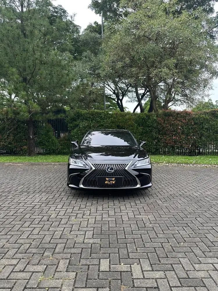 Lexus ES300h Ultra Luxury Sedan 2021