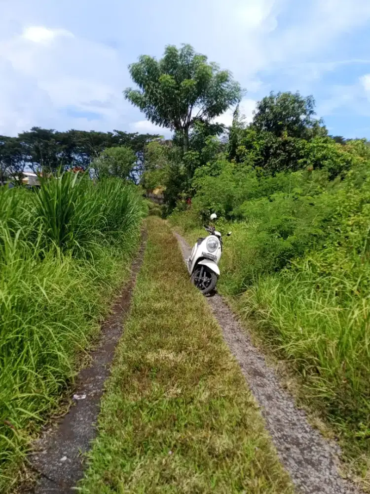 Tanah 2 Are By Pass Kusamba SHM Digital 320jt/are Nego