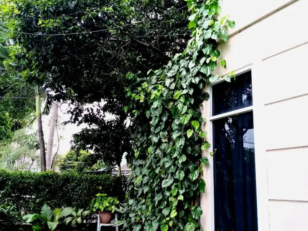 Dijual Rumah Jl. Sektor 4 Bintaro