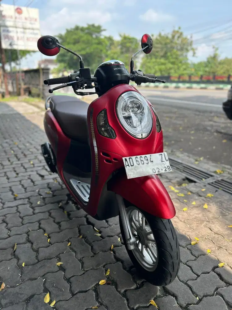 Scoopy Stylish 2023