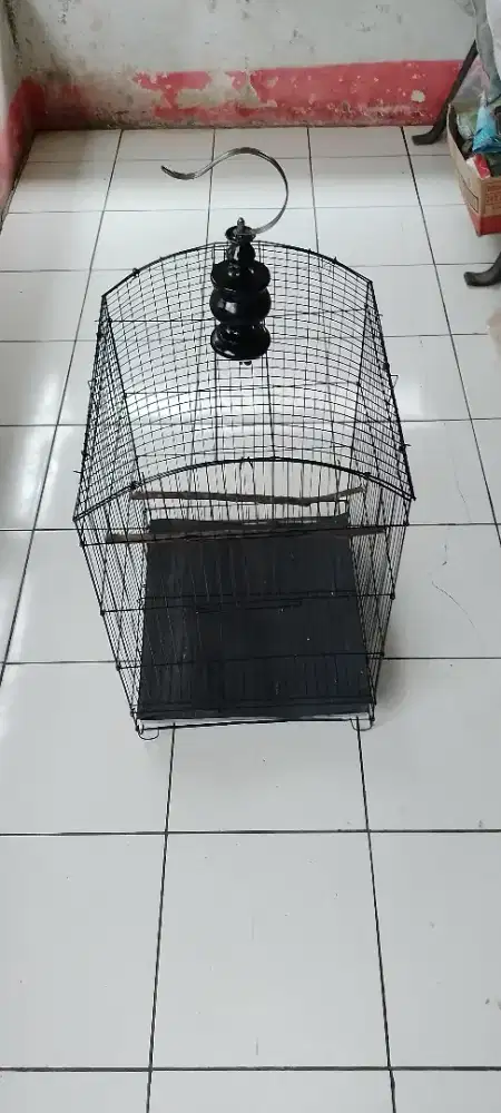 Jual kandang jumbo baru