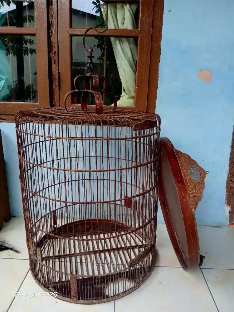 Sangkar no 1 murai batu