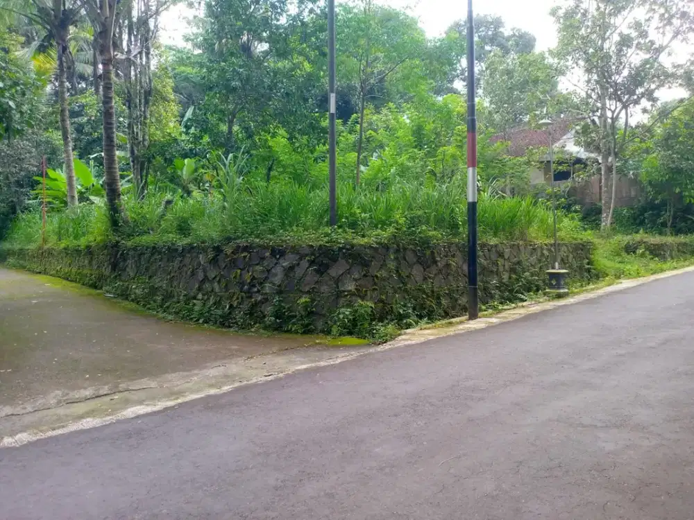 TANAH PEKARANGAN MURAH 300JUTAAN SUDAH DAPAT 1000M