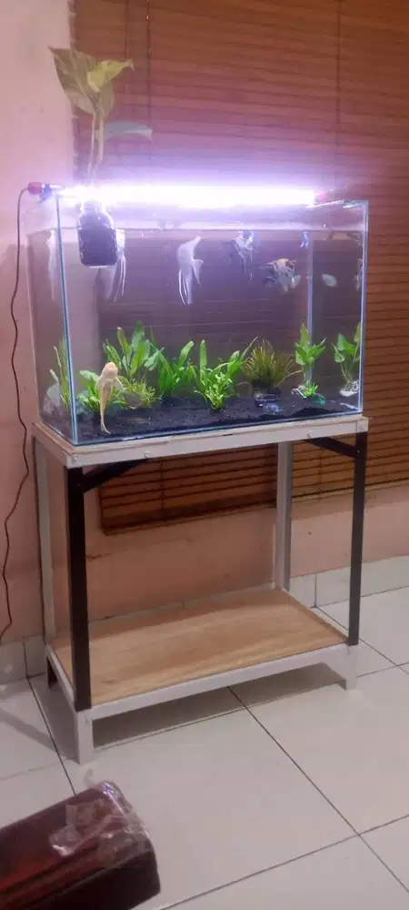 Akuarium 1 set dan isinya