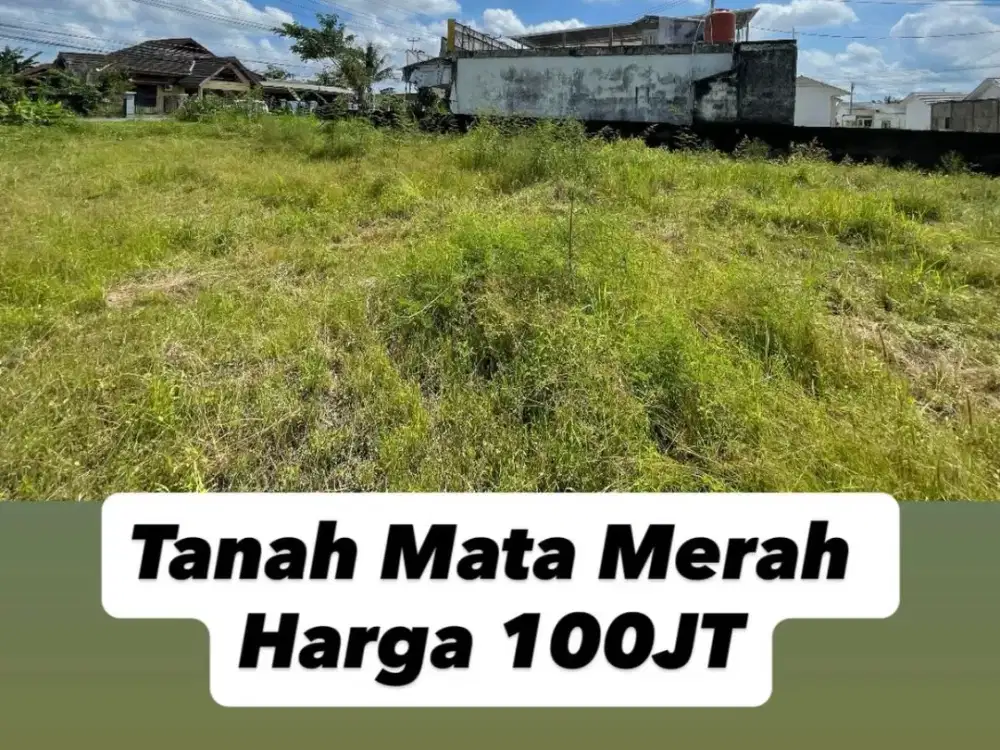 Dijual Tanah 100 jt cocok Investasi area Sematang Borang
