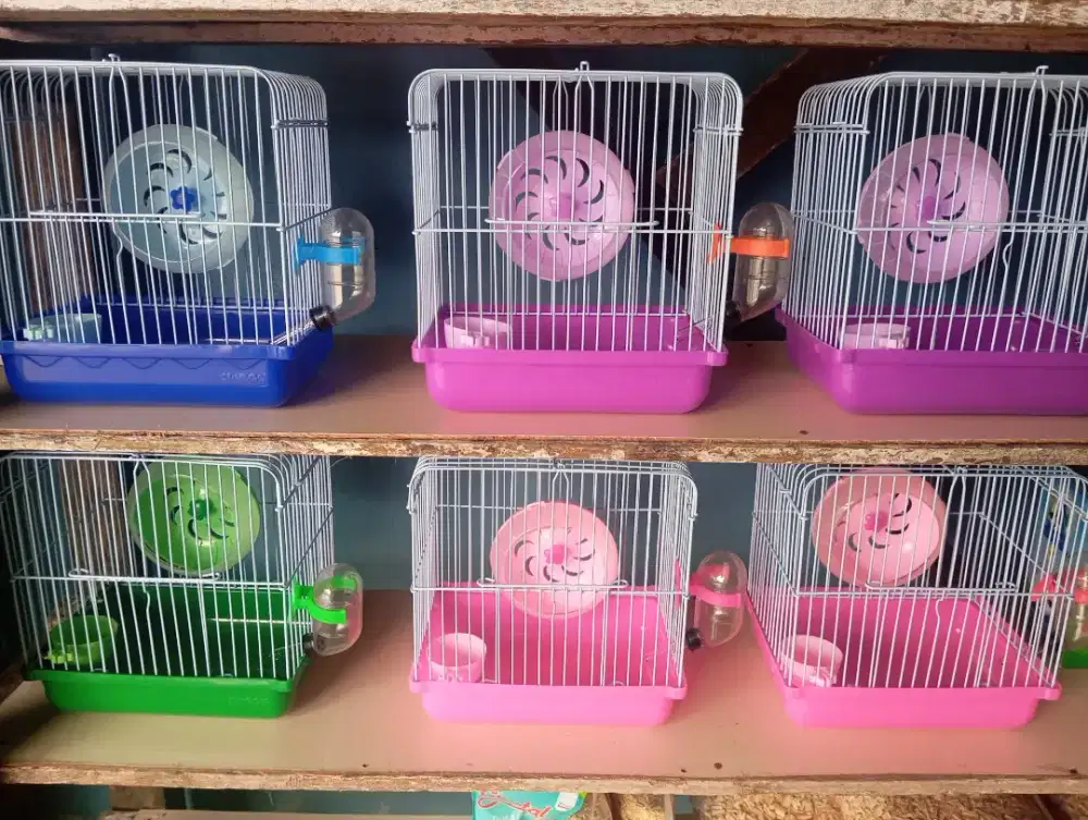 Kandang hamster
