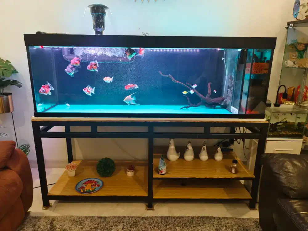 Aquarium Besar 2 meter