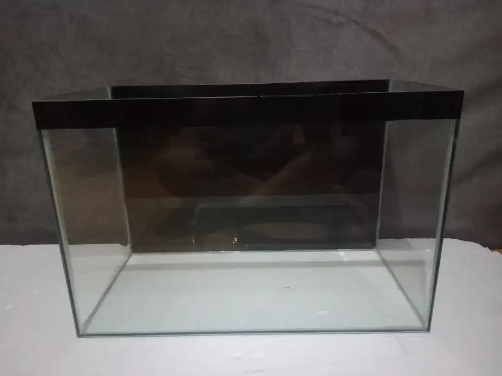 Aquarium ukuran 60x30x40 background hitam mulus