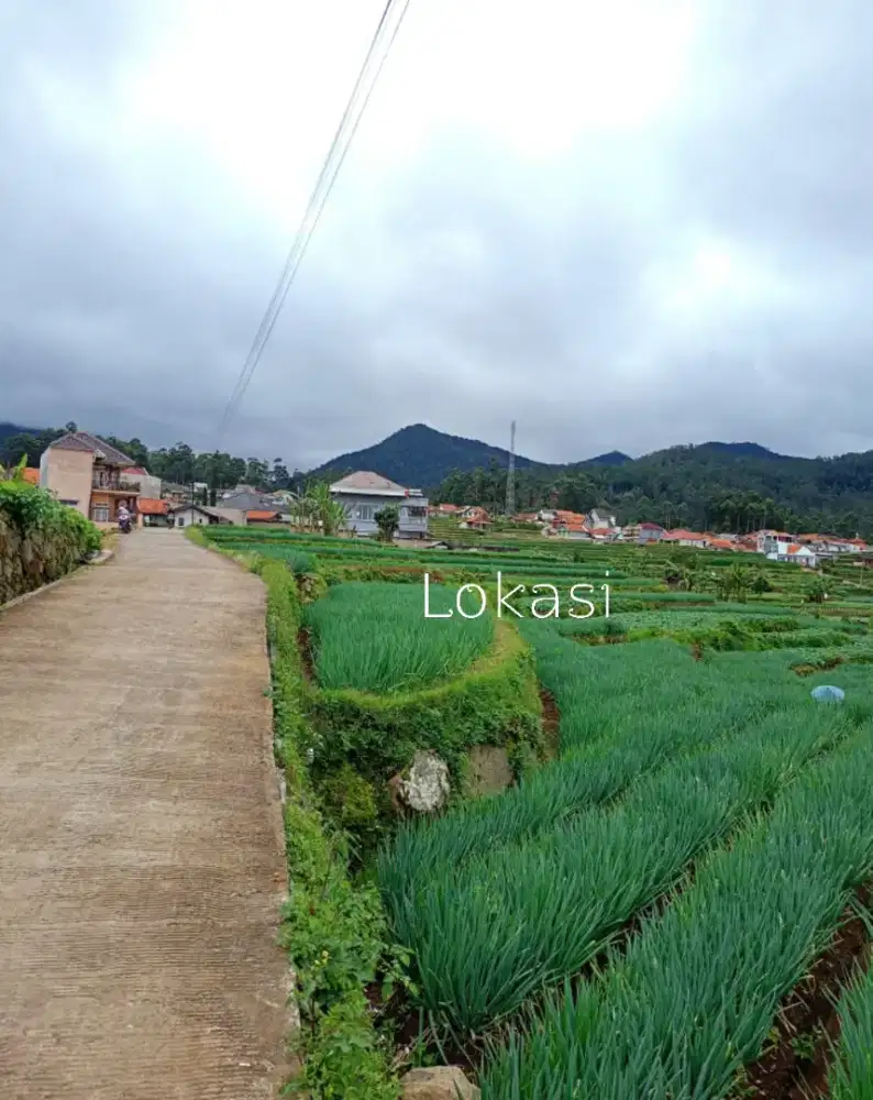 TANAH DEKAT WISATA RANCABALI CIWIDEY