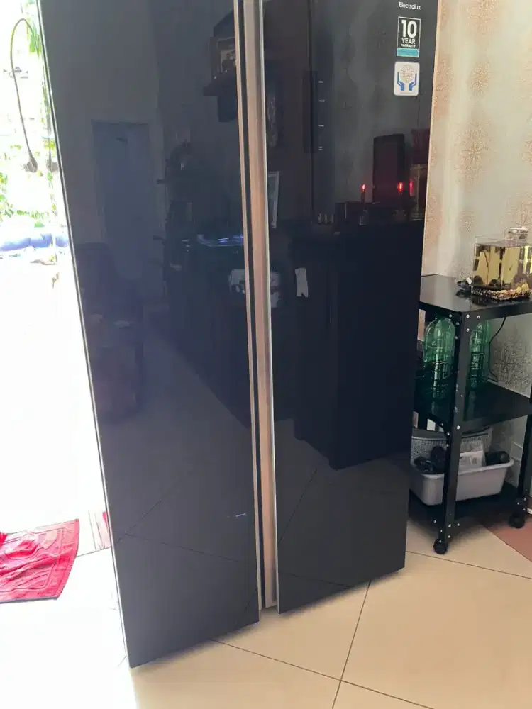 Kulkas electrolux 2 pintu ESE6201BG