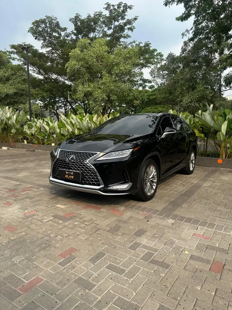 Lexus RX 300 Luxury 2020