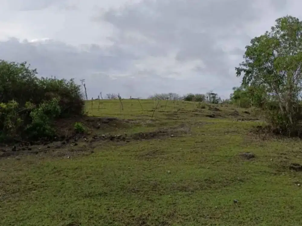 Tanah 93 Are View Laut Dijual, di Area Tanah Barak, Kuta Selatan