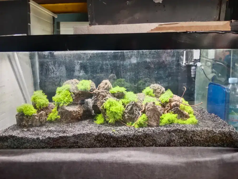 Aquarium aquascape ukuran 90x50x45