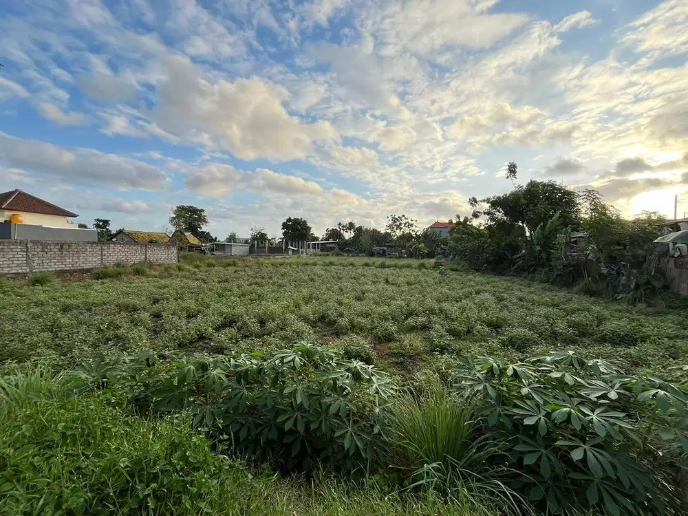 Di Kontrakan Tanah Kosong
