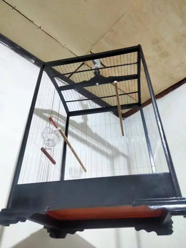 Sangkar no 2 kandang NO2 sangkar burung khusus kenari