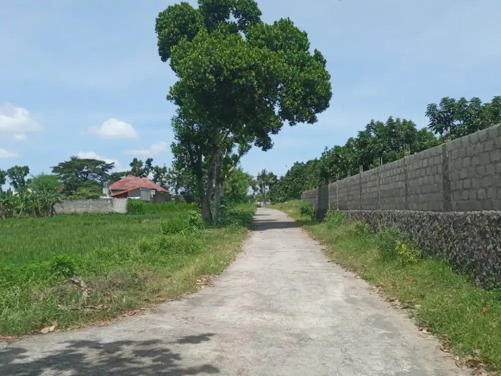 Tanah Strategis Dekat Stadion Maguwoharjo 100 Meter Jl Purwomartani