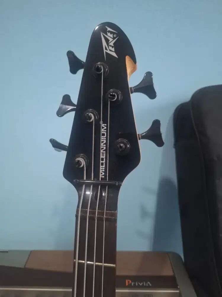 Bass peavey milenium 5 senar
