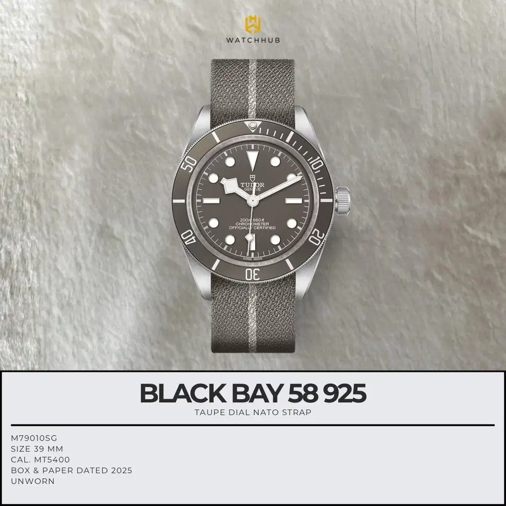 TUDOR BLACK BAY 58 925 TAUPE M79010SG