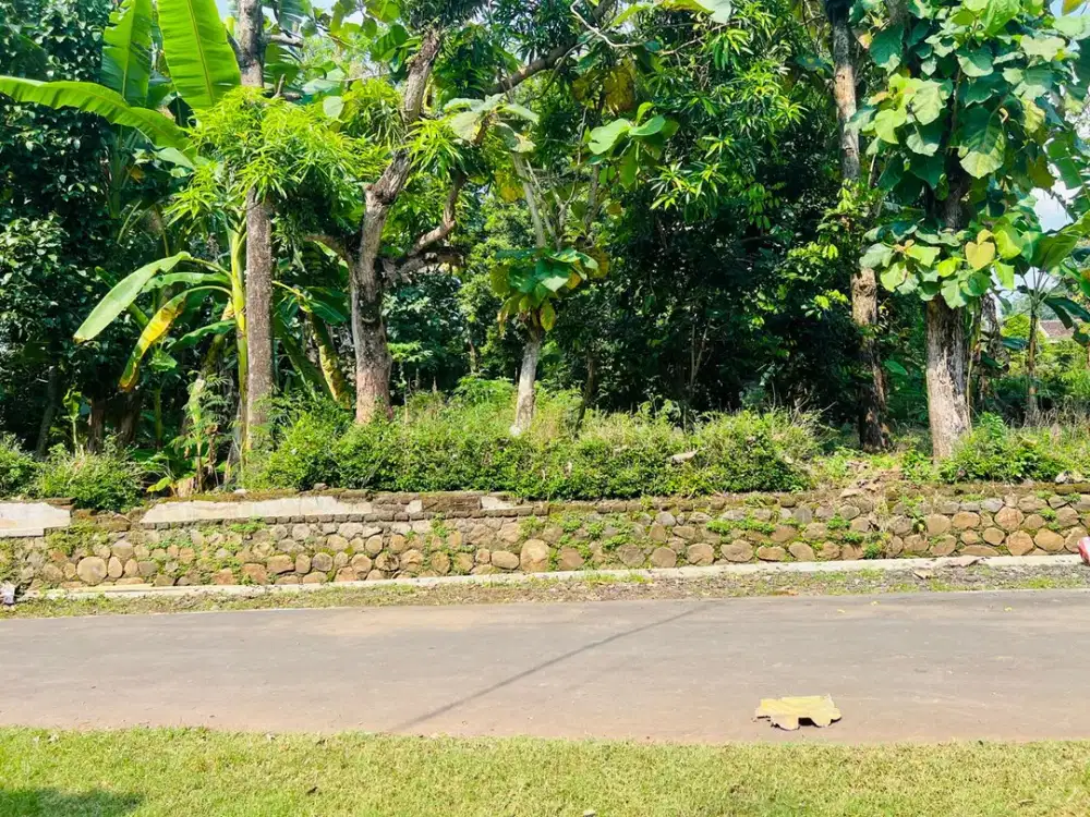 Tanah Datar Luas 1700m2 Cocok Dibangun Rumah Tinggal/Investasi