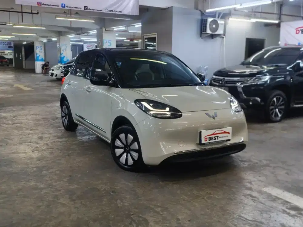 Wuling Binguo EV Premium RANGE 410km 2025