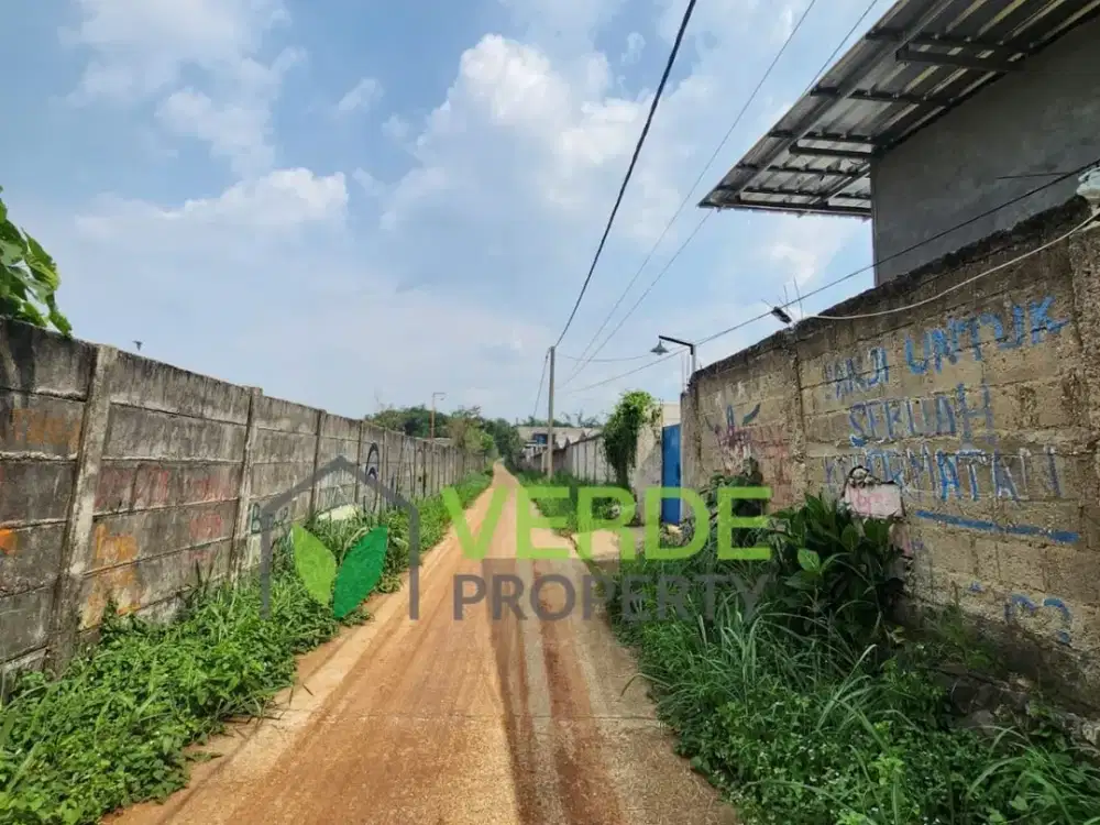 Disewakan Peternakan Ayam Masih Aktif Dan Menghasilkan Di Kebon Kelapa Rumpin