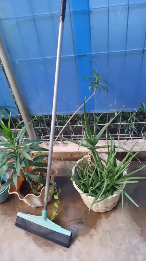 KERJA APA AJA MAU SUKUR2 DI PECEL LELE /WARUNG MAKAN LAIN2 NYA