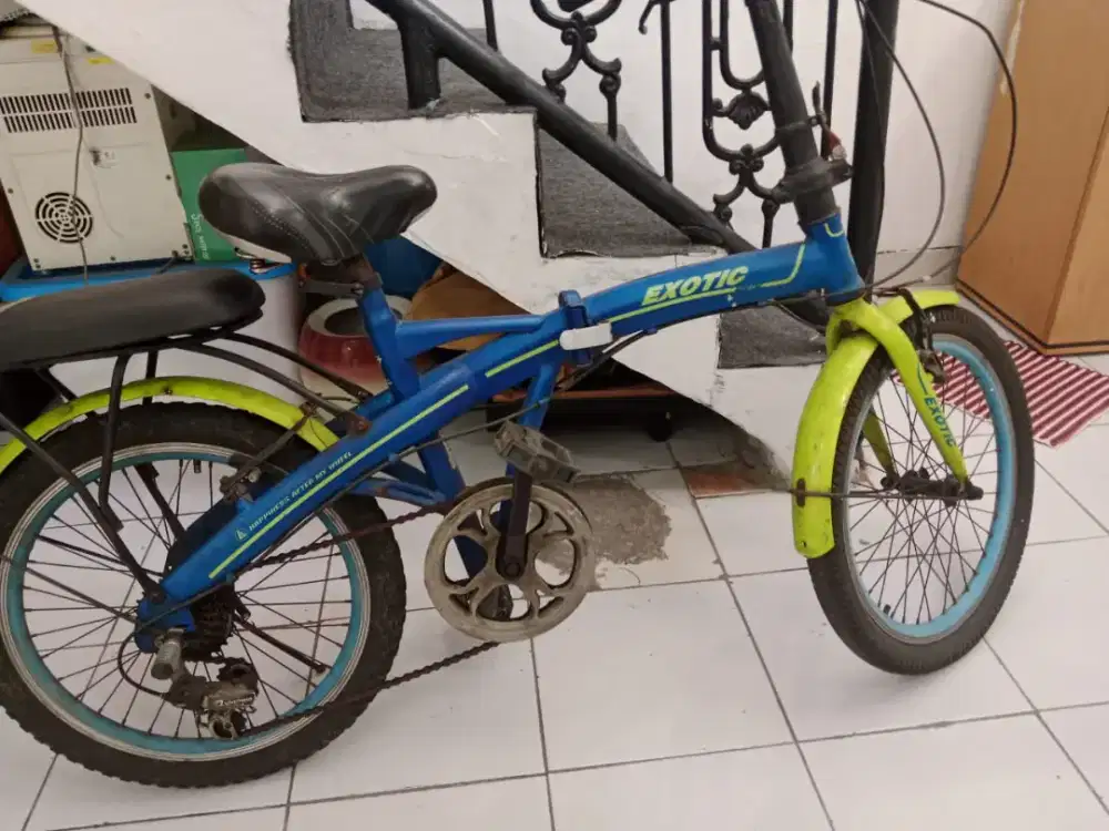 Sepeda exoticcc