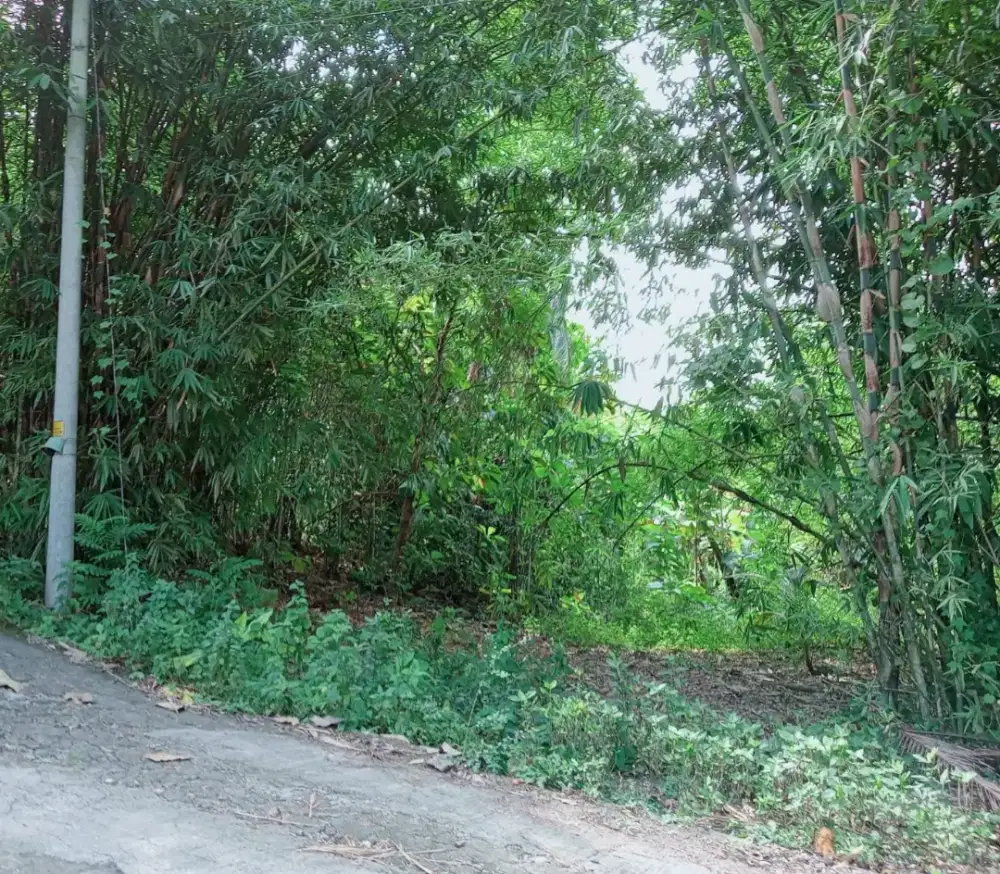 Dijual tanah pekarangan