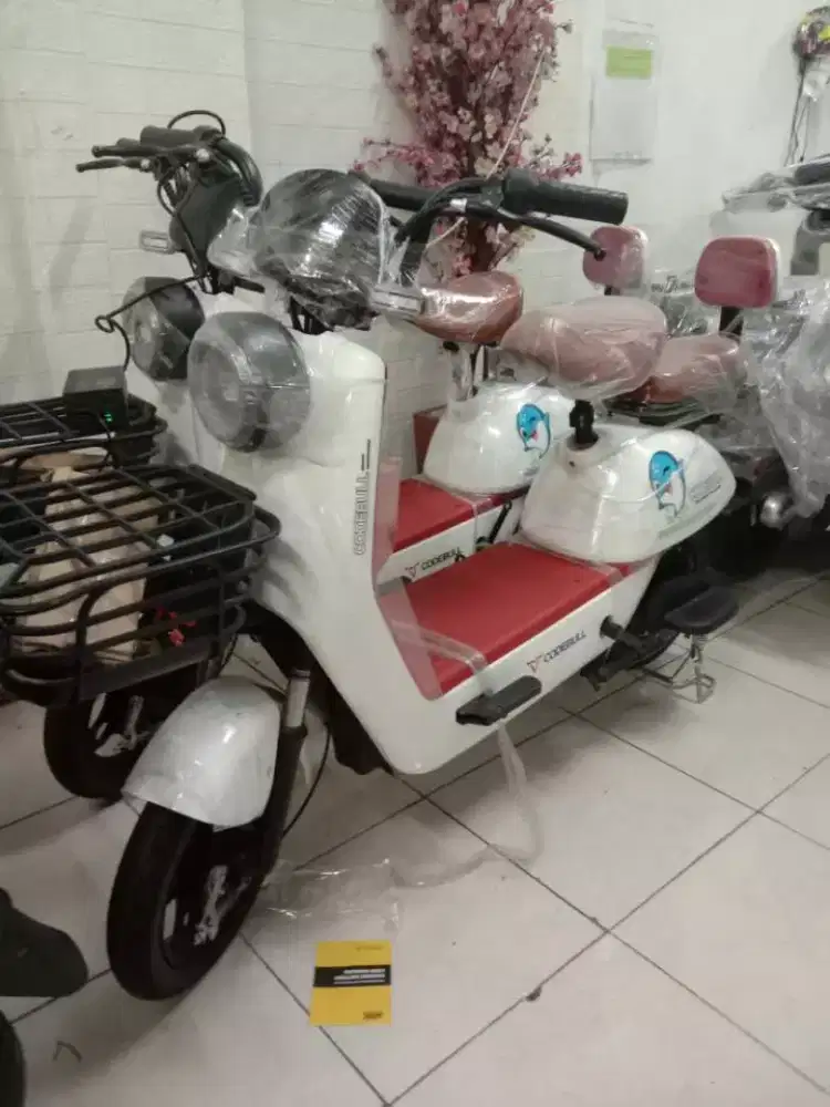 sepedalistrik led body gambar dolphin hitam dan putih