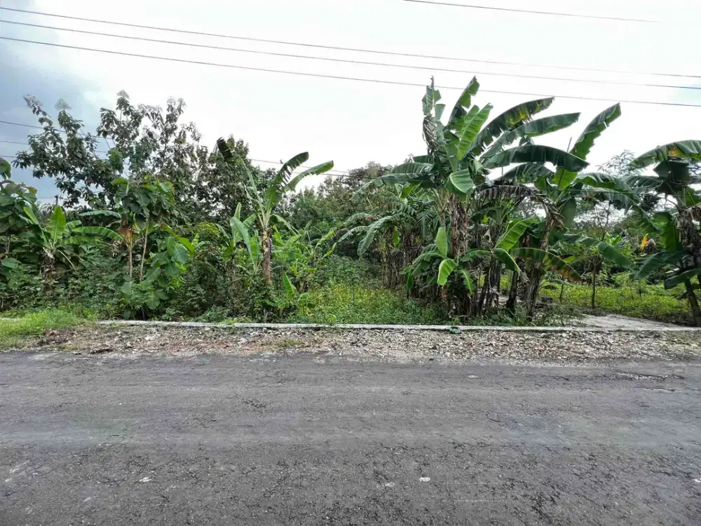 JUAL CEPAT TANAH di Karangmojo Gunungkidul Mangku Jalan Raya 48 jt Nego