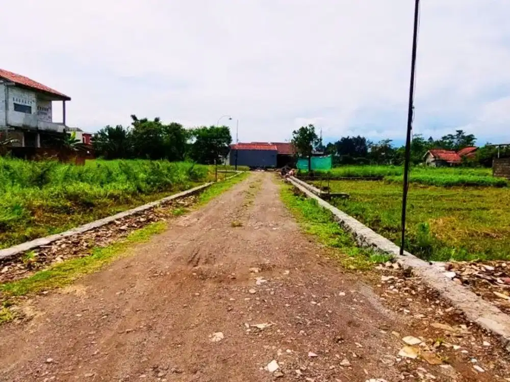 Tanah Murah Dekat IPB Cocok Bangun Kost, SHM