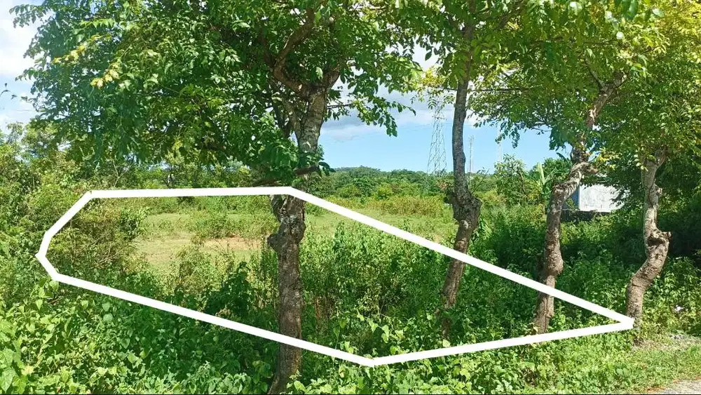 Dijual Sebidang Tanah Di Fatukoa