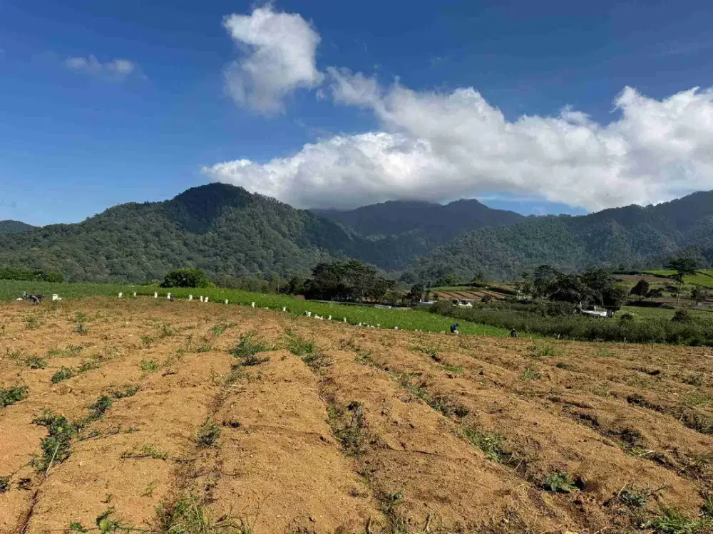 Tanah pertanian Kota Batu View 360 salah satu lahan pertanian dgn view sempurna
