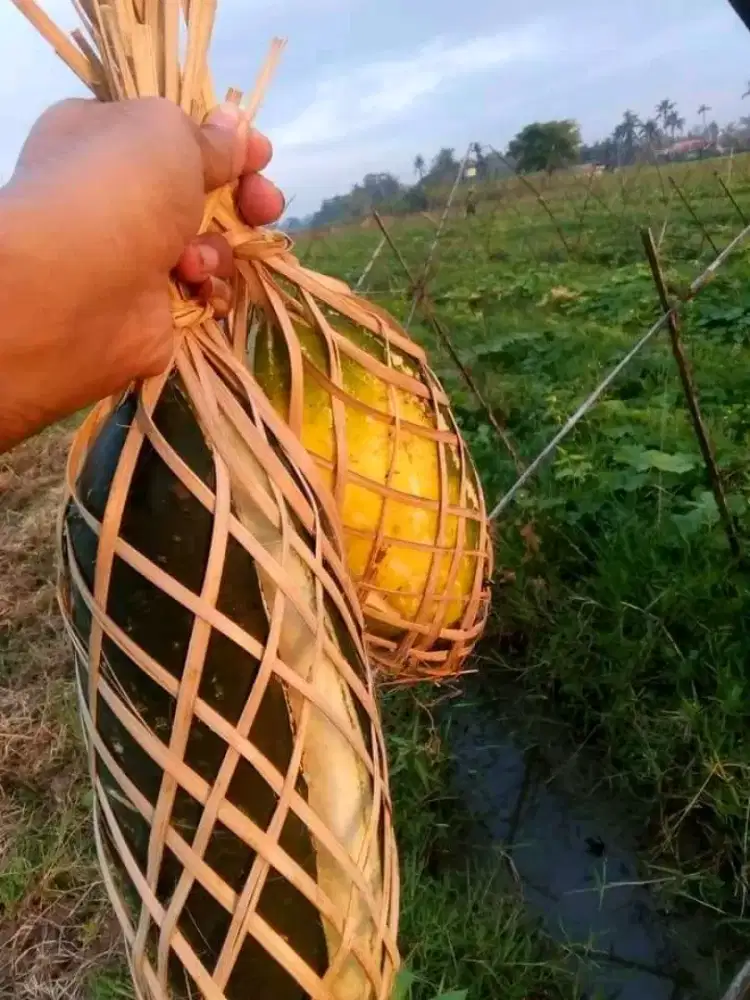 saya siap kerja jahit kalo ada loker konveksi