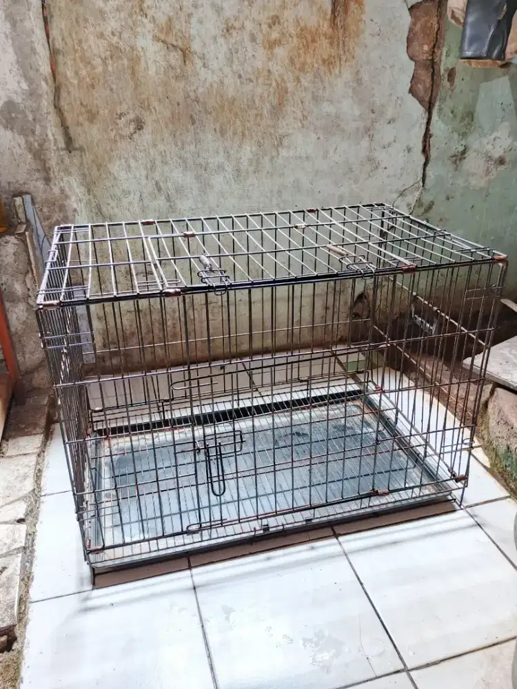 Kandang kucing sedang